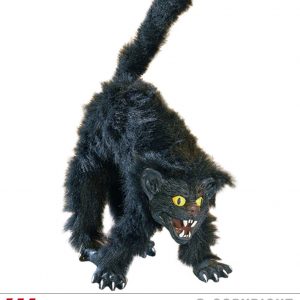 Chat noir 36cm