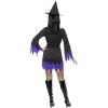 Costume femme sorcière violette dos